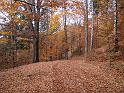 2011-11-05, Hohnstein (28)